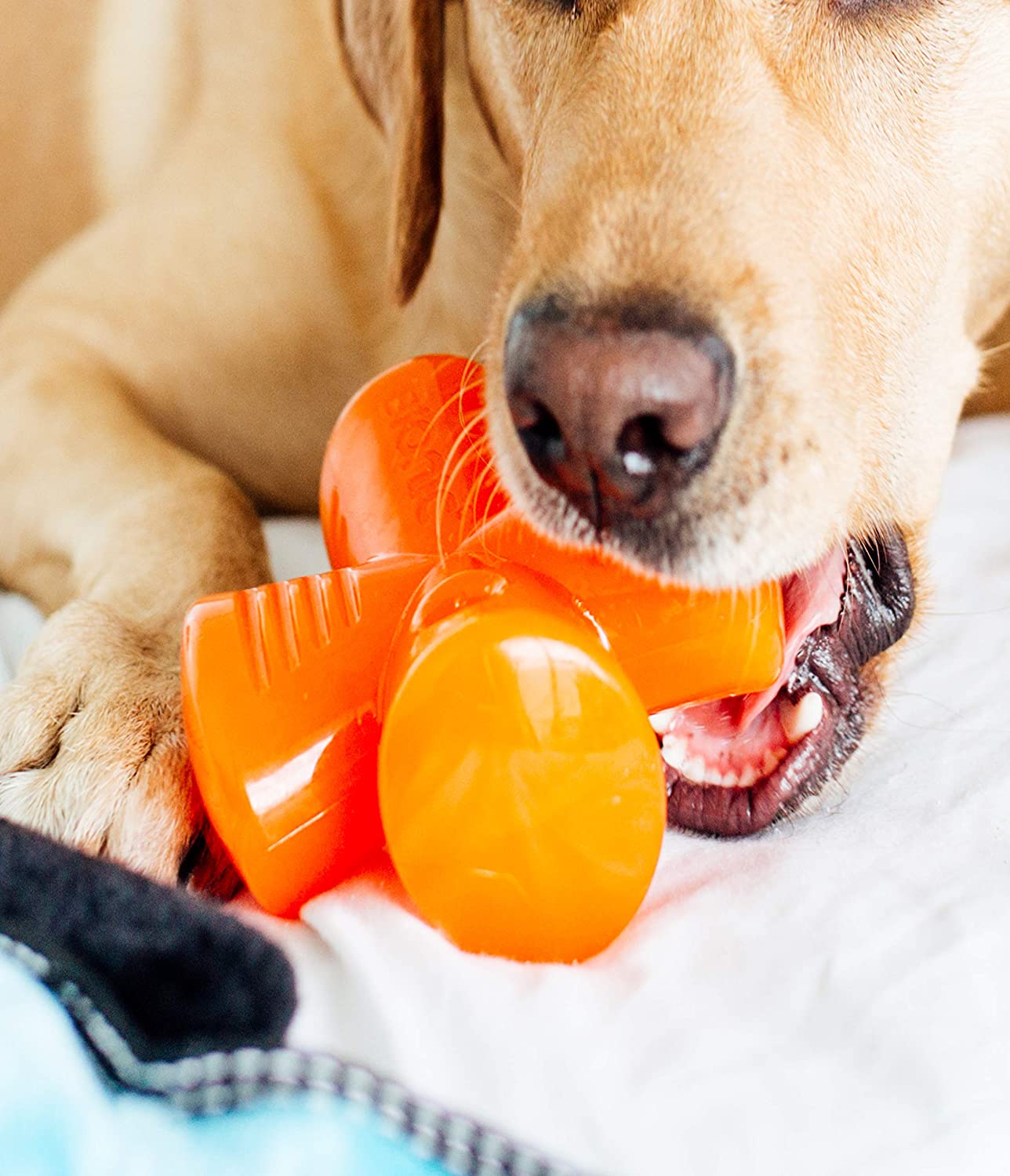 bionic stuffer dog toy