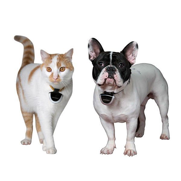 shop pet technology products for cats & dogs!
