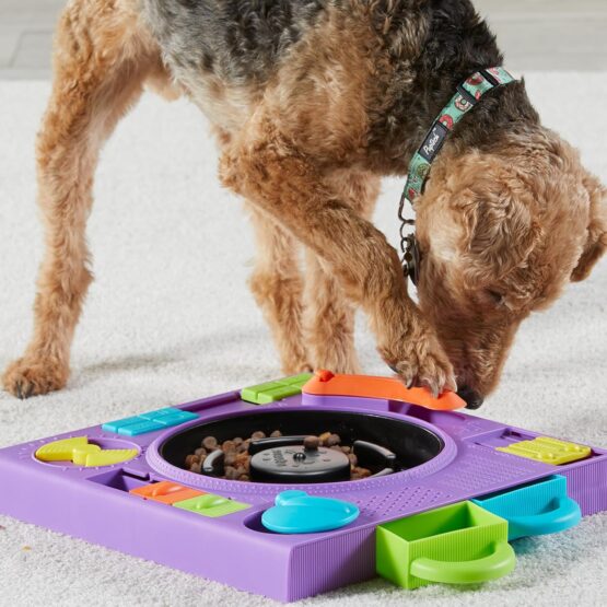 Brightkins DJ Doggo Treat Puzzle