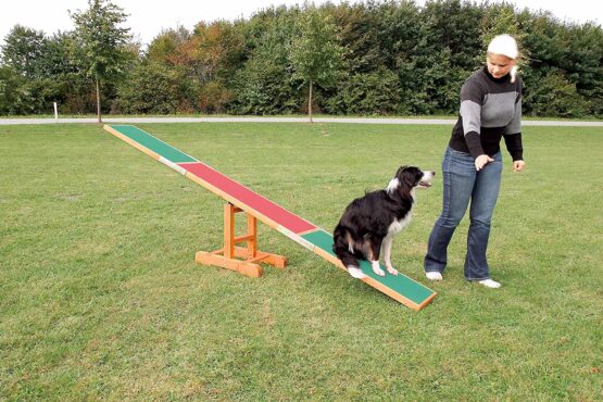 PawHut Canine Agility Training Non-Slip Wooden Seesaw 3M - Image 2