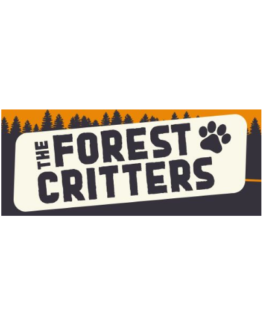 Forest Critters