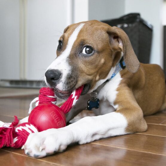 KONG Classic Ball With Rope - Image 3