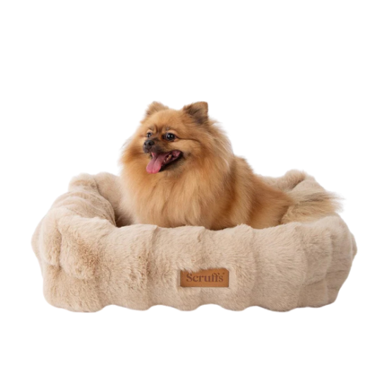 Scruffs Alpine Box Bed Champagne - Image 2