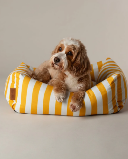Scruffs Amalfi Striped Box Bed Yellow