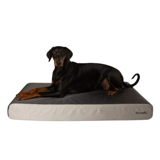 Scruffs ArmourDillo Orthopaedic Dog Bed Grey