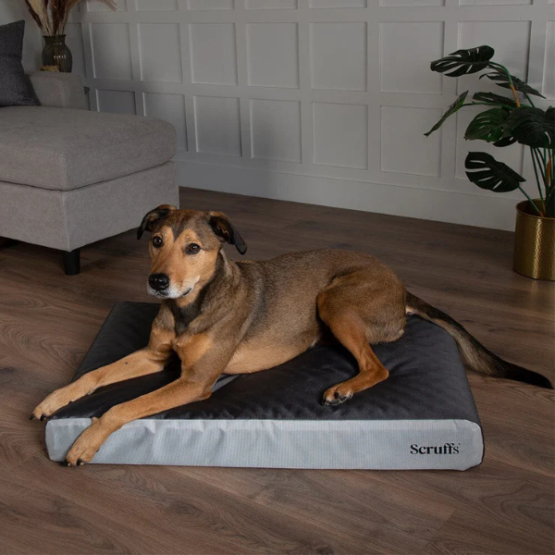 Scruffs ArmourDillo Orthopaedic Dog Bed Grey - Image 3