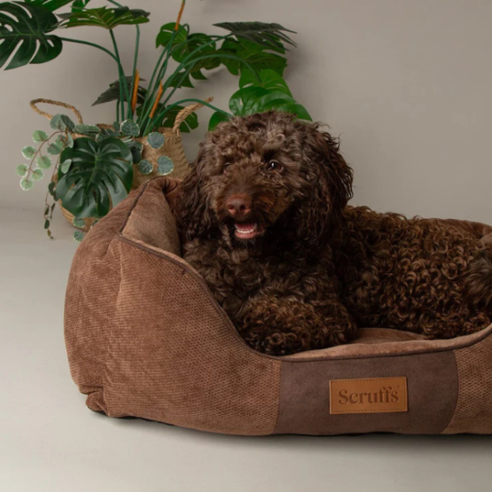 Scruffs Chester Box Dog Bed Graphite Grey - Image 7