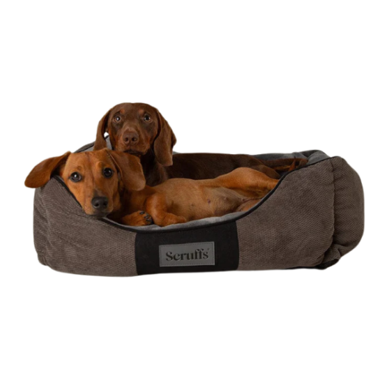 Scruffs Chester Box Dog Bed Graphite Grey