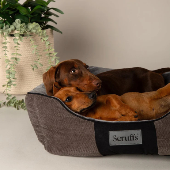 Scruffs Chester Box Dog Bed Graphite Grey - Image 3