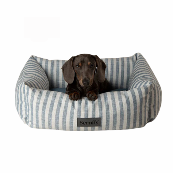 Scruffs Coastal Box Bed Blue