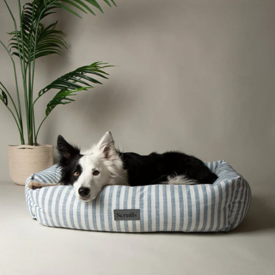 Scruffs Coastal Box Bed Blue - Image 4