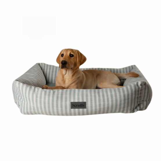 Scruffs Coastal Box Bed Green