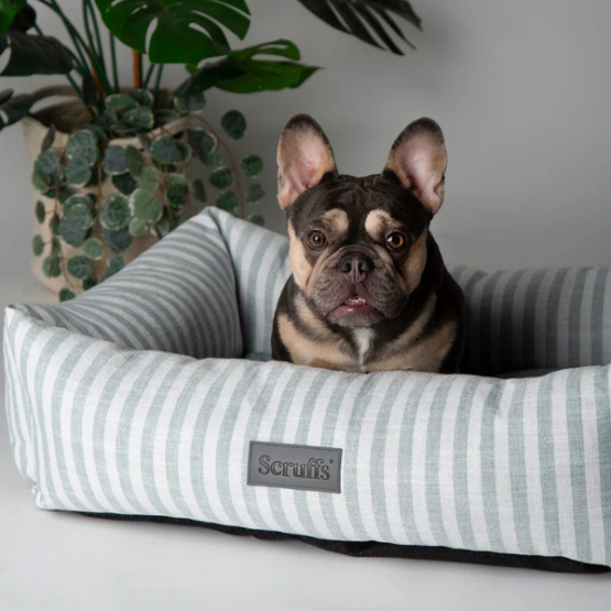 Scruffs Coastal Box Bed Green - Image 3