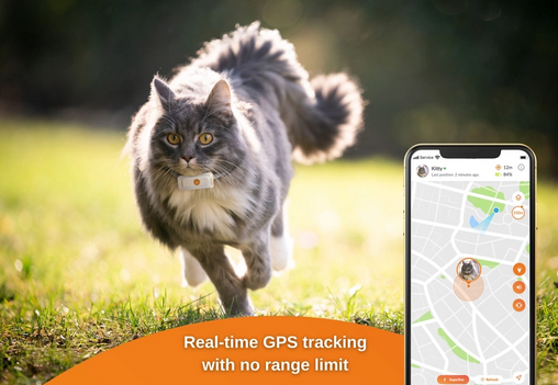 Dog GPS tracker - Weenect XS