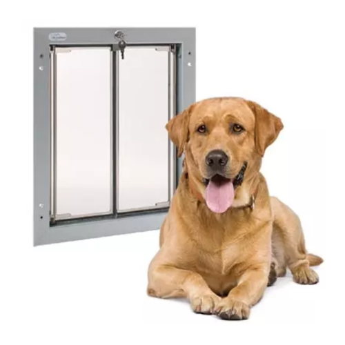 Locking pet shop door