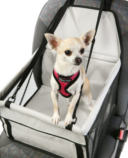Pet Travel Products