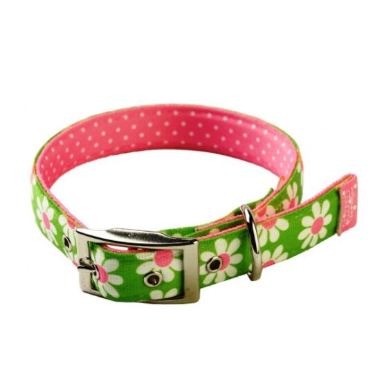 Yellow Dog Uptown Green Daisy On Pink Polka Collar