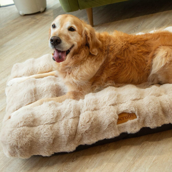 Scruffs Alpine Mattress Champagne - Image 3