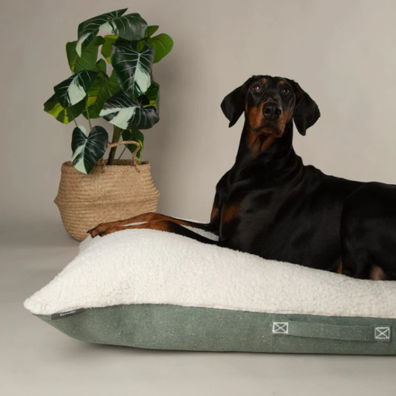 Scruffs Eco-Friendly Eden Pillow Bed Sage Green - Image 3