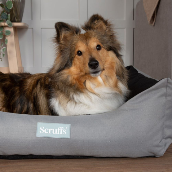 Scruffs Expedition Box Dog Bed Storm Grey - Image 6